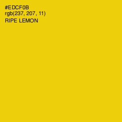 #EDCF0B - Ripe Lemon Color Image